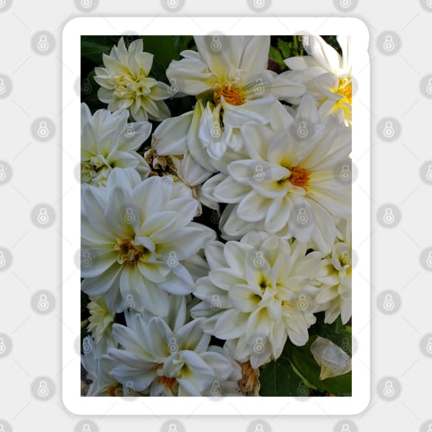 White Flower Bunch Photography My Sticker by ShubShank